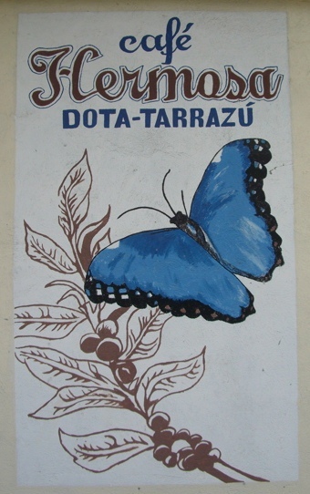 COSTA RICAN COFFEE BEANS DOTA TARRAZU MEDIUM ROASTED 5 BAGS 1 POUND EACH