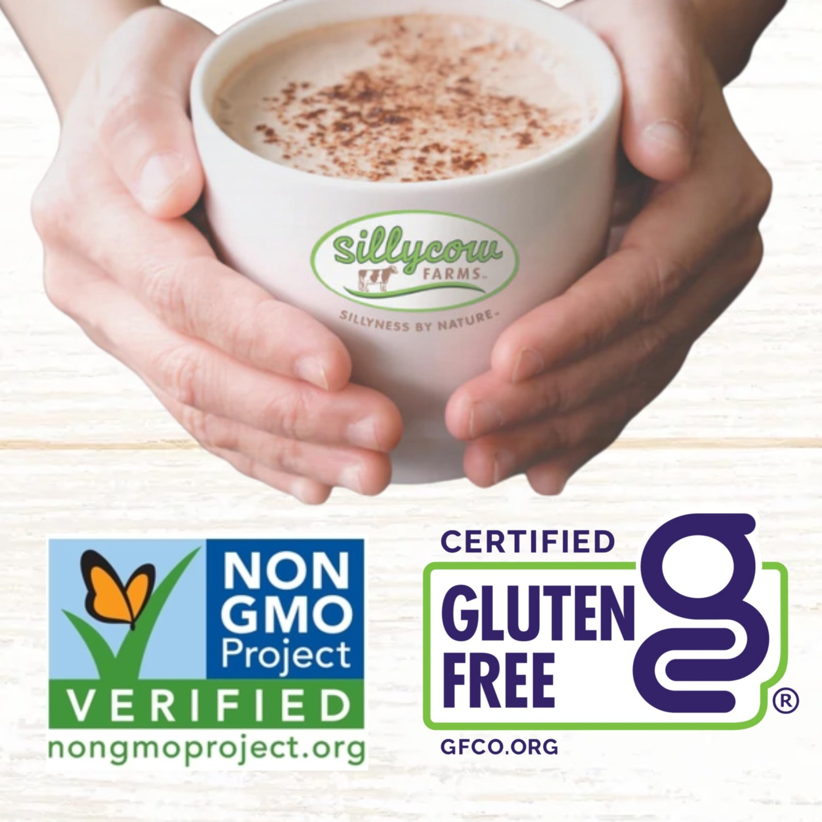 Sillycow Farms Dairy Free Hot Chocolate Mix 16.9 Oz Gluten Free Rich Cocoa Drink
