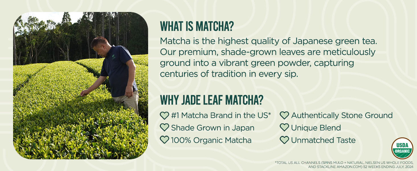 Jade Leaf Ceremonial Grade Matcha Powder, 100g / 3.53oz Tin | Barista Edition –