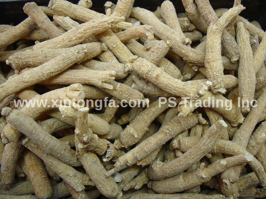 4oz 8oz 1LB -100% Large Wisconsin American Ginseng Root Long (#G4) 純正美国威州花期参 大長泡