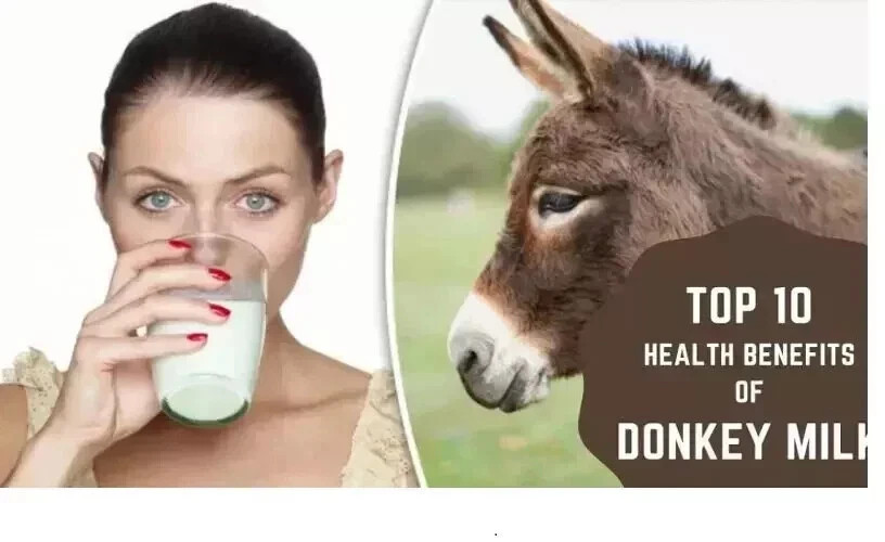 (PACK OF 2) 100% NATURAL HERBS DONKEY MILK POWDER FREEZE DRIED (3.05 OZ) 100 GM