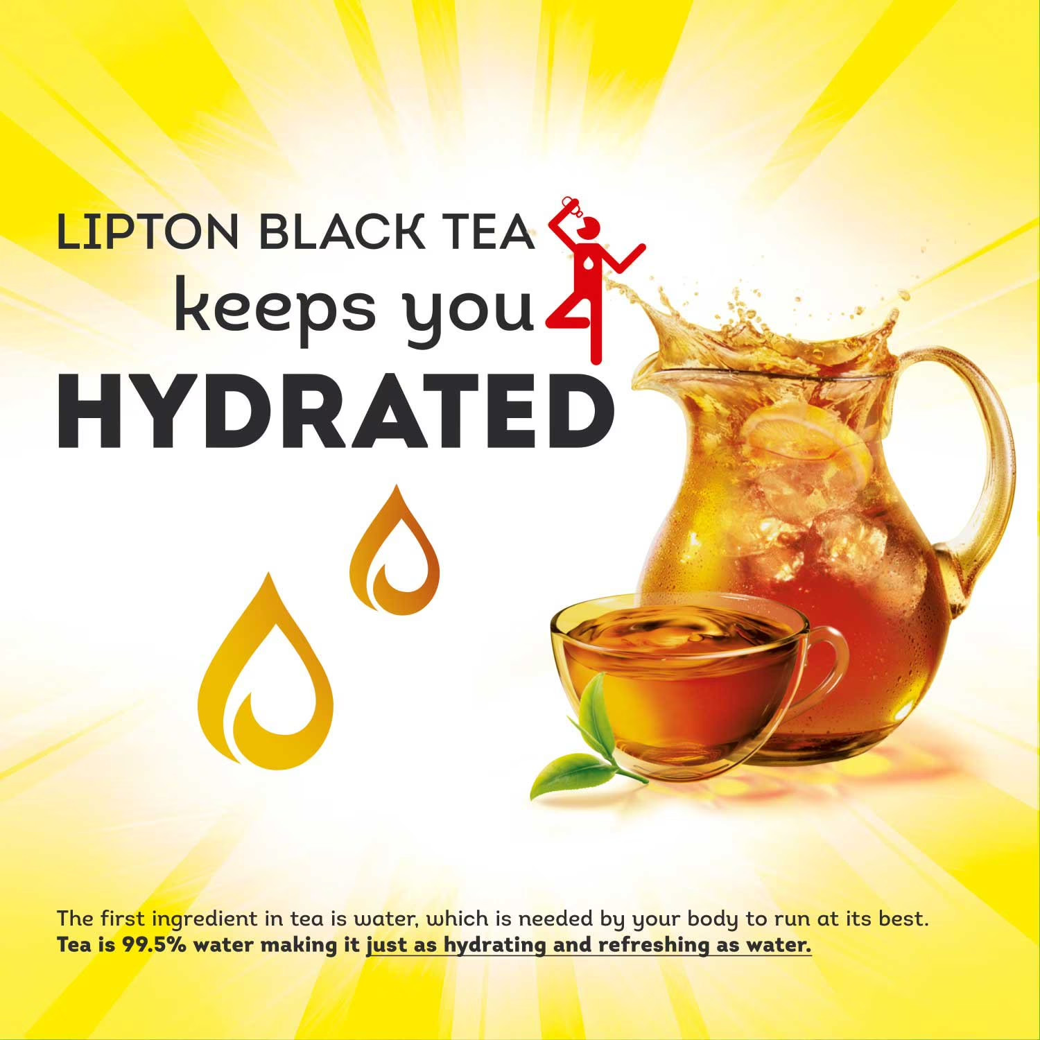 Lipton Iced Tea, Gallon Size Tea Bags, 48 ct. FRESH – FAST SHIPPING