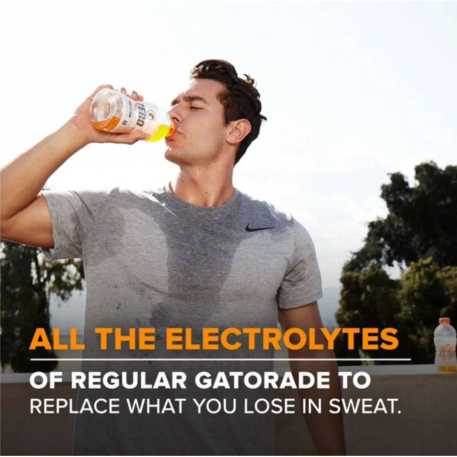 Gatorade Thirst Quencher Zero Sugar Sports Drink Glacier Freeze 12oz Bottles