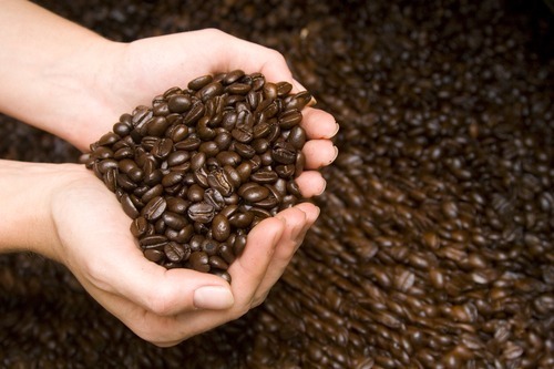 Ethiopian Yirgacheffe Coffee Beans | Fresh Medium Roast | 3 LB Whole Bean