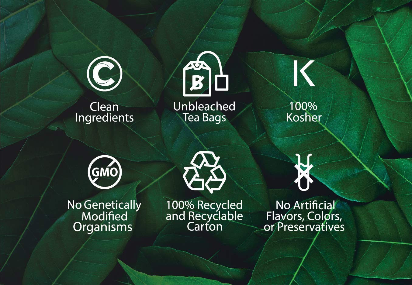 Organic Eucalyptus Tea – Kosher, Caffeine-Free, Gmo-Free – 18 Bleach-Free Tea Ba