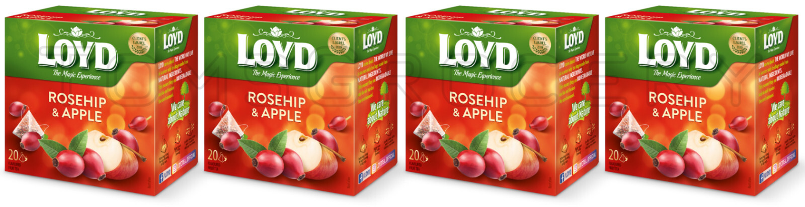 4 LOYD Rosehip & Apple Flavored Herbal Infusion Tea Boxes (80 servings total)