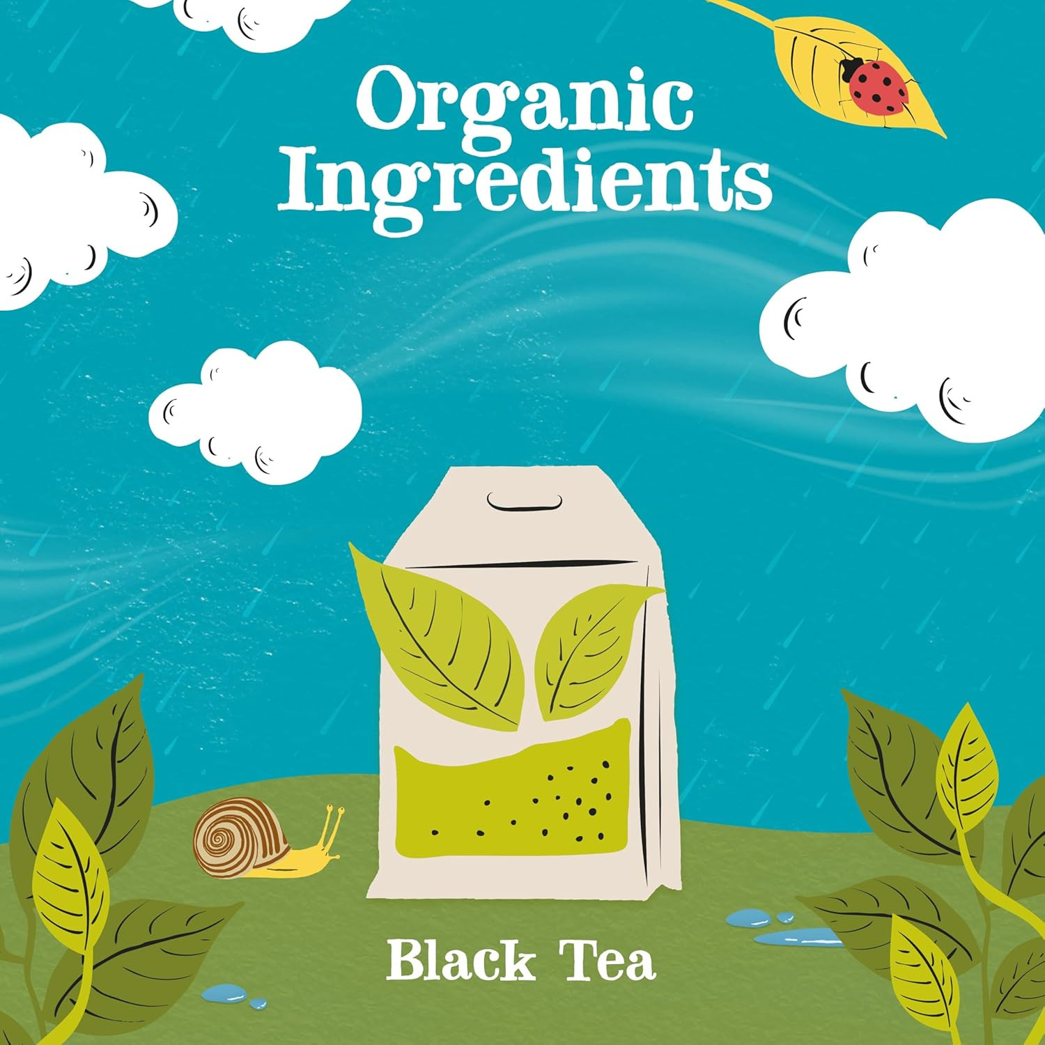 Clipper Tea, Organic Fairtrade Everyday, Organic, USDA Non-Gmo, Fair Trade, Sust