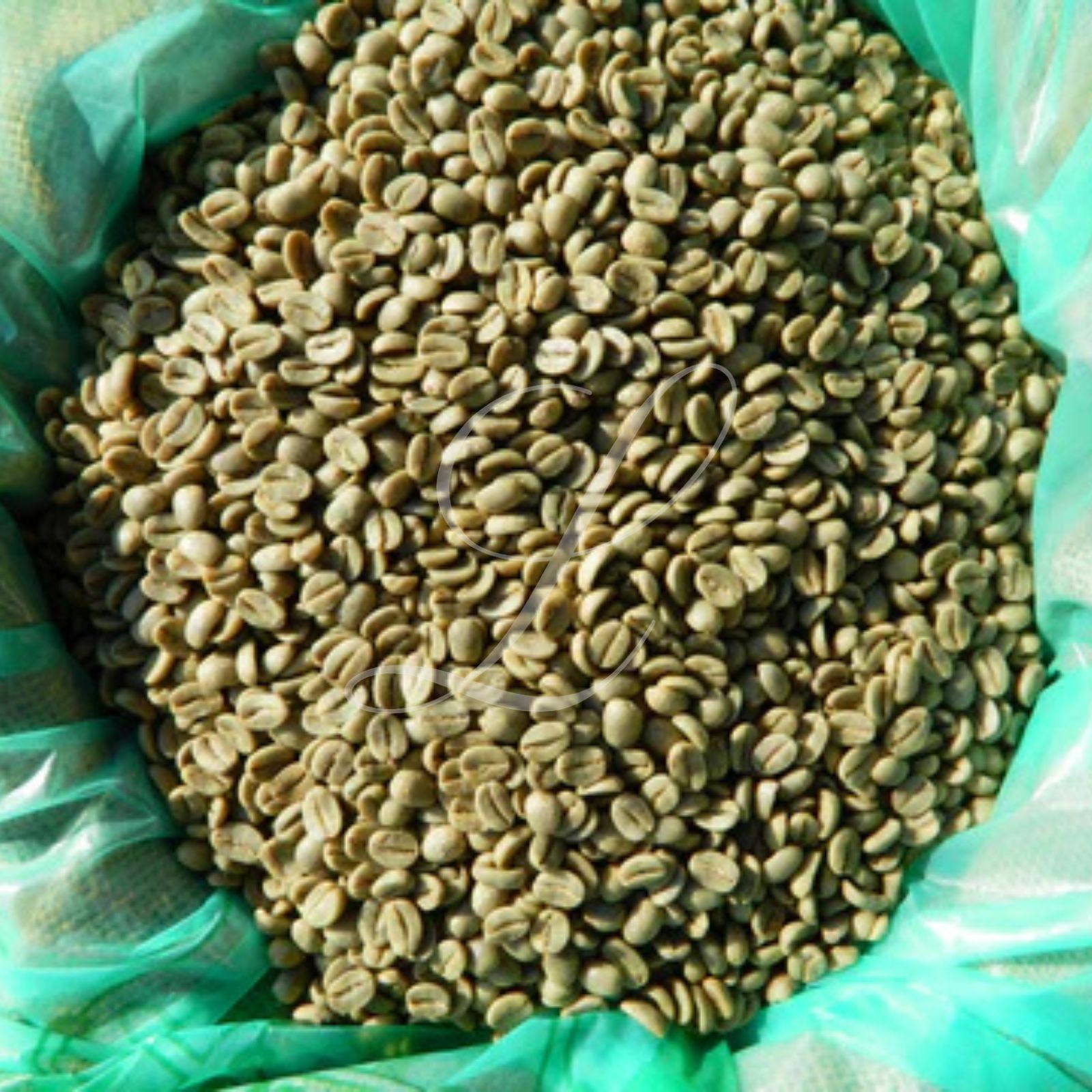 100% Kona Coffee, Genuine Extra Fancy, 1 lb Bag, Fresh Roasted to Order or Green