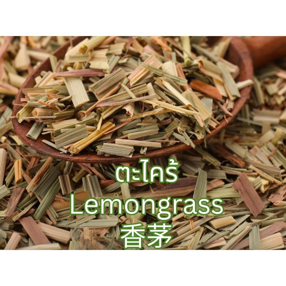 TEA LEMONGRASS & PANDAN HERBAL Thailand Product x 2 /Set ( 40 Tea Bags)
