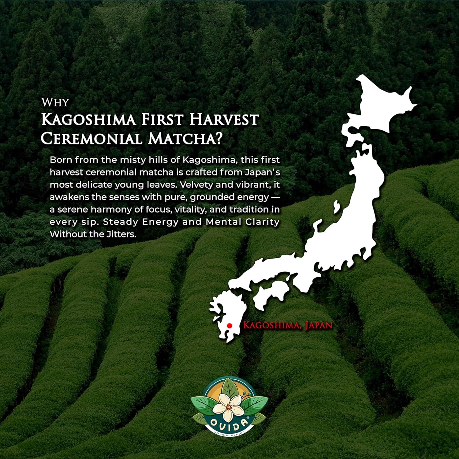 Kagoshima Matcha Powder – USDA Organic Ceremonial Grade, First Harvest 4.5 oz