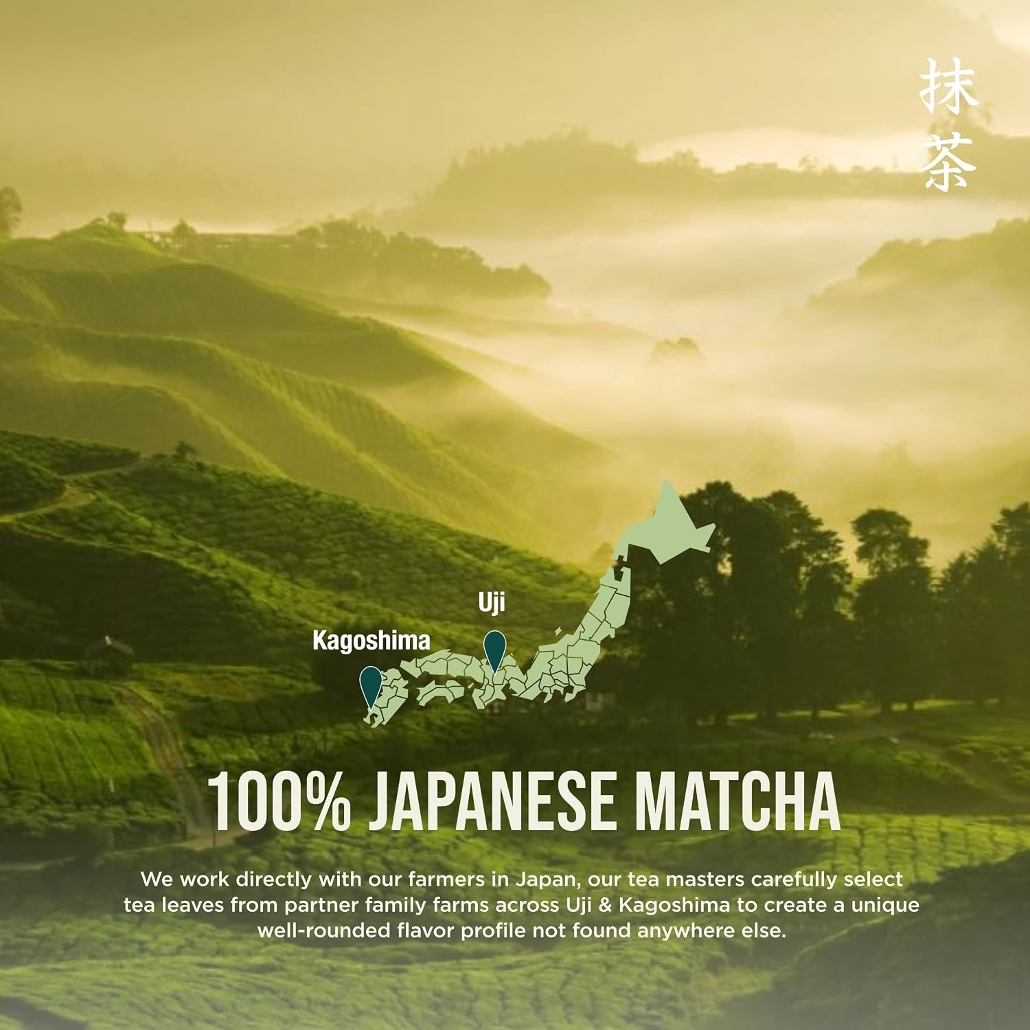Jade Leaf Ceremonial Grade Matcha Powder, 100g / 3.53oz Tin | Barista Edition –