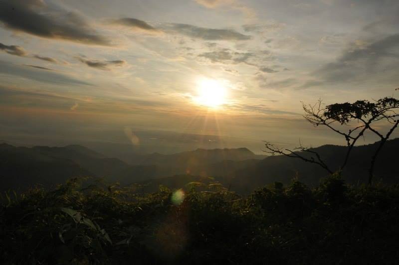 COSTA RICAN TARRAZU COFFEE BEANS DARK ROASTED 5 POUNDS