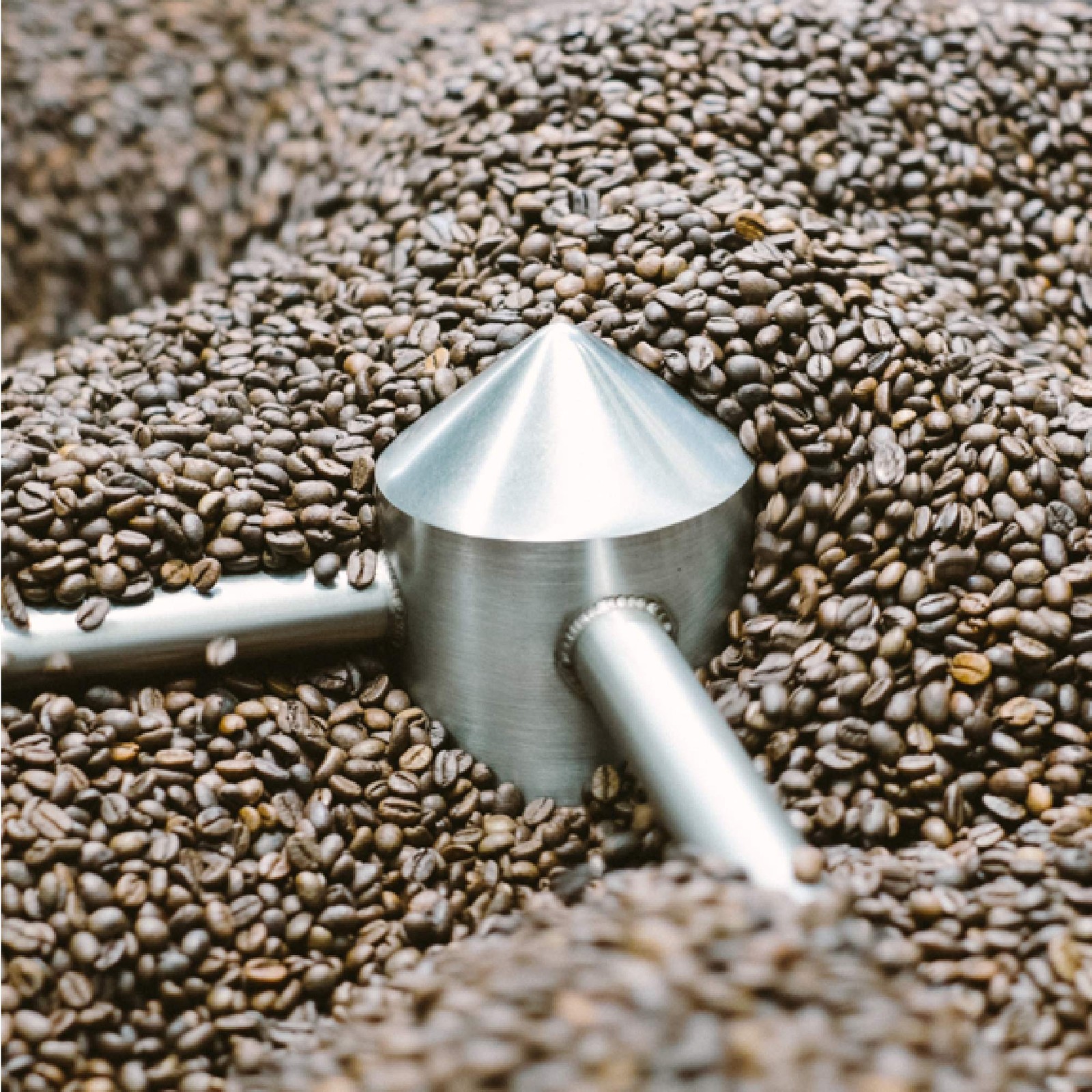 For Five Coffee Roasters – Roasted In NYC – Costa Rica Whole Bean 12 oz