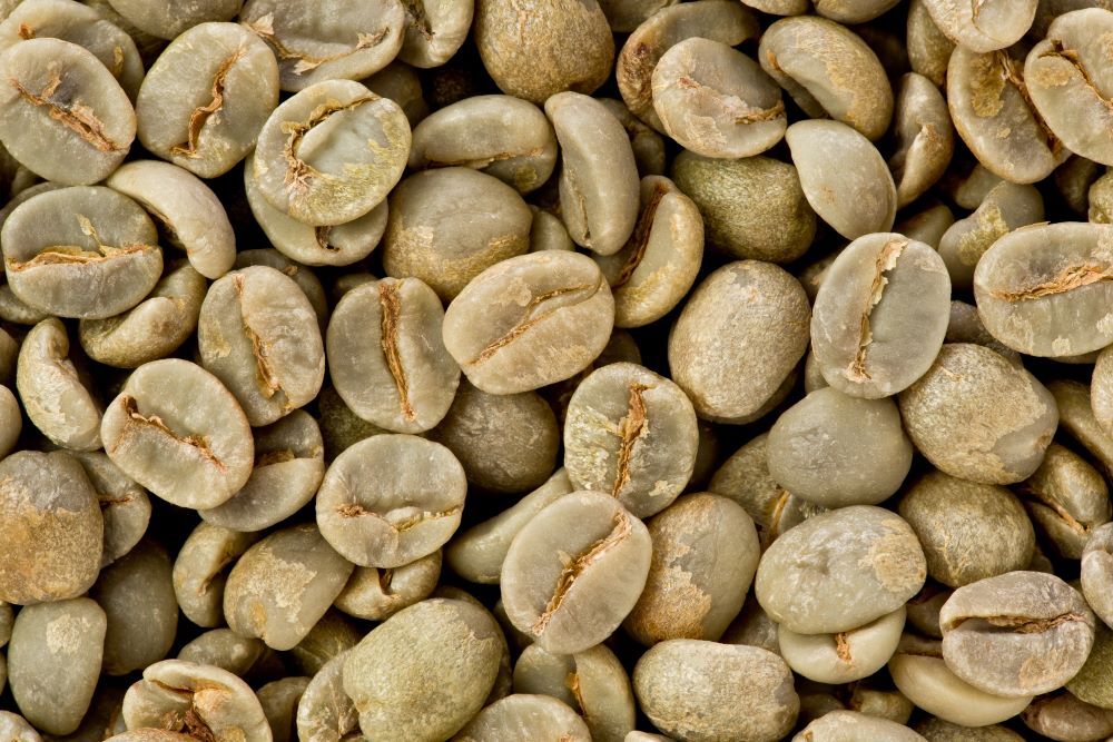 2lb/40lb – Mexican Chiapas – Specialty Grade – Unroasted Green Coffee Beans