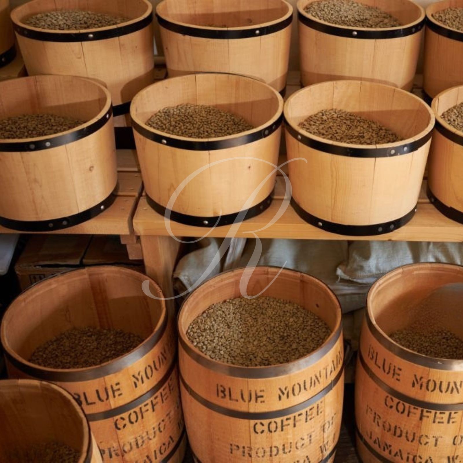 20 lbs of Wallenford Jamaica Blue Mountain Coffee – Free Shipping!