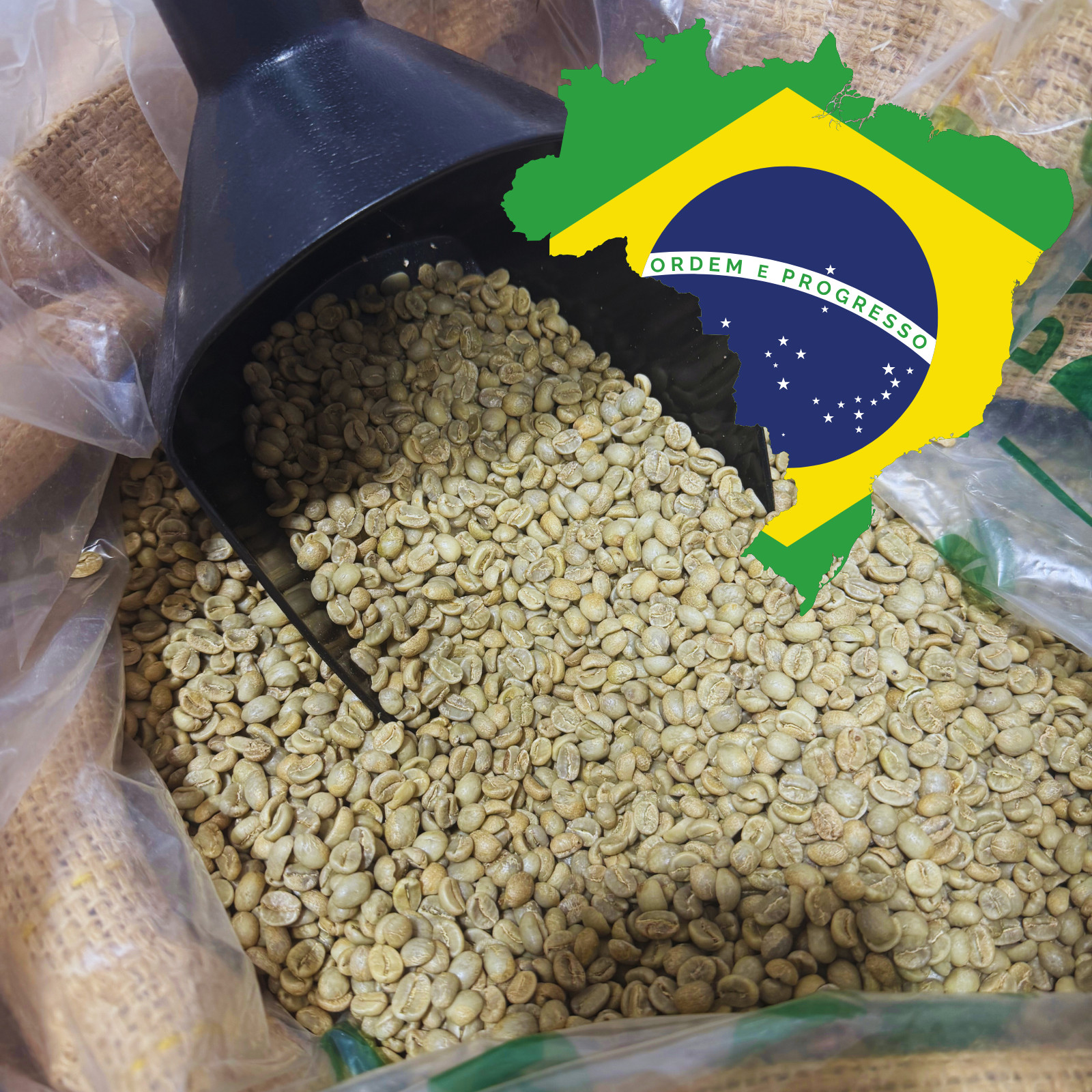 5 LB BRAZIL, UNROASTED GREEN COFFEE BEANS FIVE POUND – ARABICA, SPECIALTY