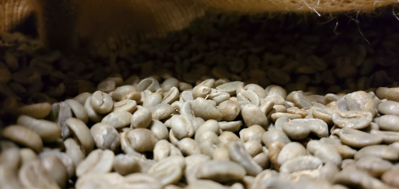 5 LBS PAPUA NEW GUINEA UNROASTED GREEN COFFEE BEANS – ARABICA