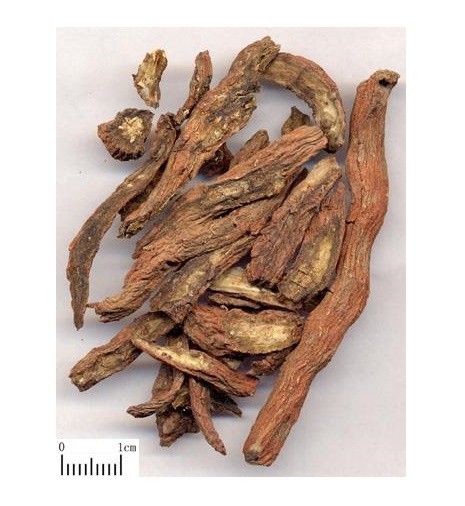 丹参片 1 LB Dan Shen Root Red Sage Salvia Miltiorrhiza – US Seller Free Shipping!