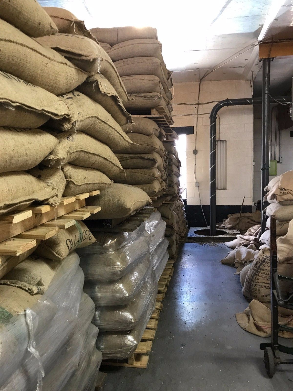 5 LBS Brazilian Santos #14/16 Green Bean Coffee FREE SHIPPING!