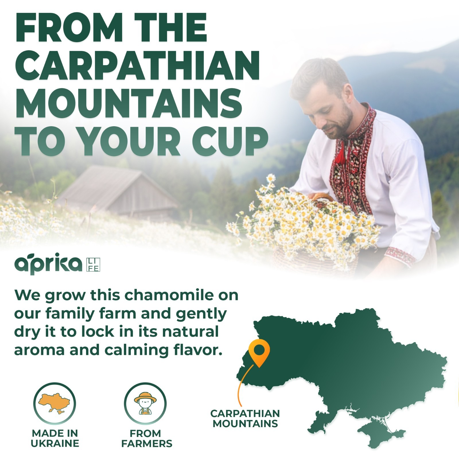 Pure Chamomile Tea – no stems, 100% Natural Herbal Tea, 60 bags, USA seller