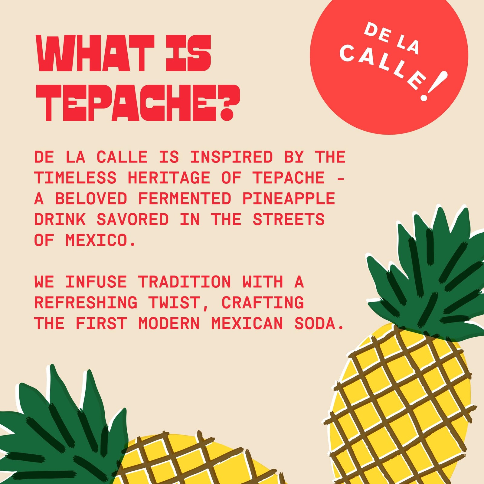 De La Calle Tepache Mixta Variety Pack Modern Mexican Soda Craft Fermented…