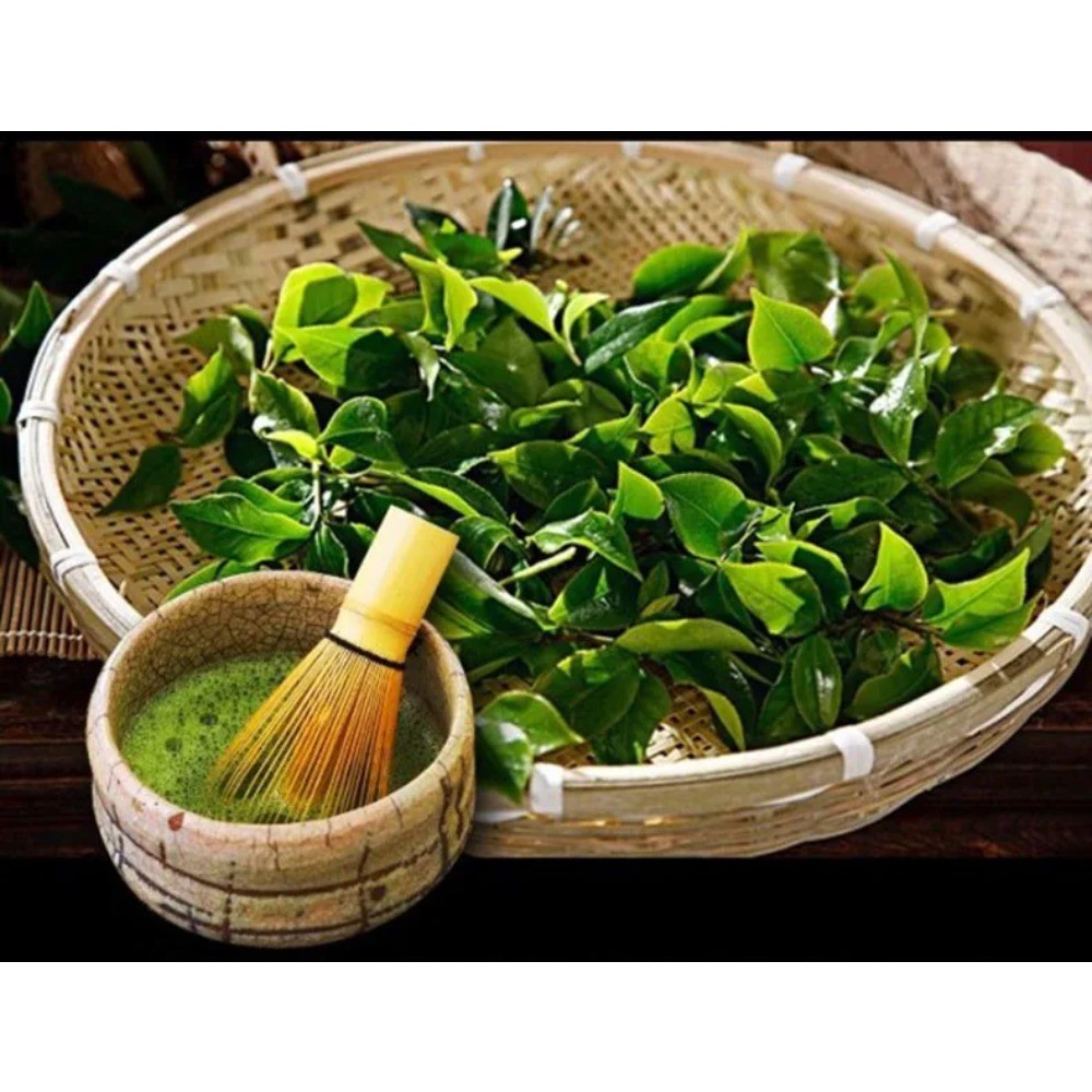Organic Matcha Powder 100g Energy Weight Management Green Tea