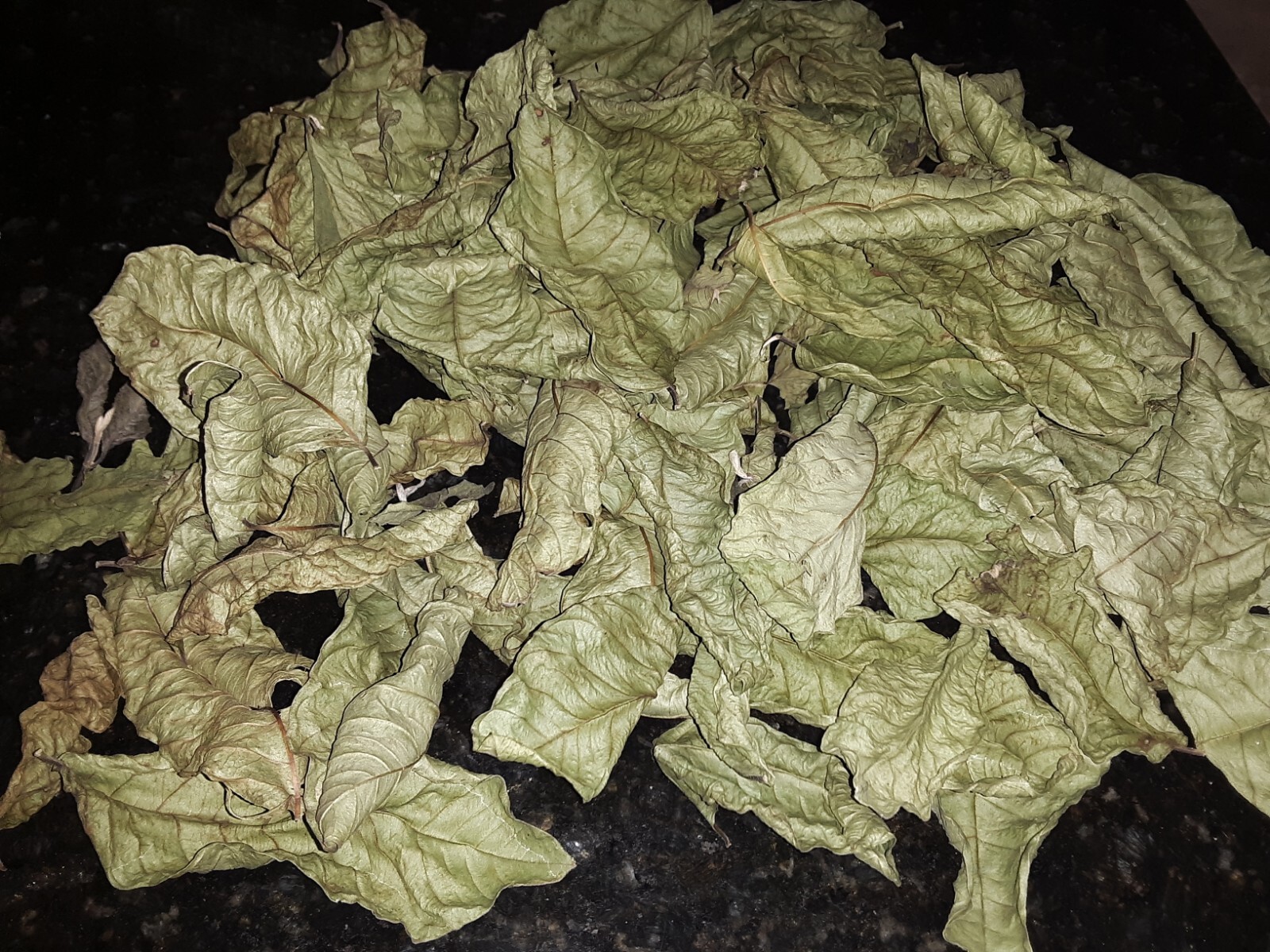 1 Cup Air Dried Guava Leaves; Herbal Tea.US grown.