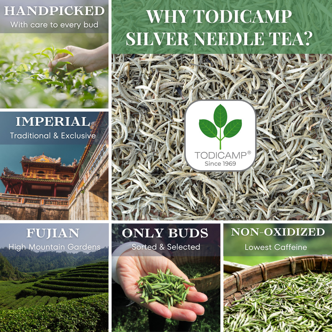 TODICAMP USDA Organic Silver Needle Tea – 16 Ounces of Premium Silver Needle Tea
