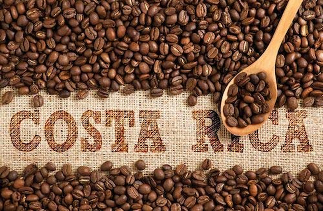 Cafe 1820 Molido – Costa Rica Gourmet Ground Premium Coffee – 4.4 Oz / 125 Gr –