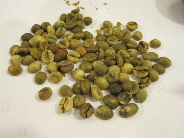 100% Authentic KOPI LUWAK Coffee 1/2 POUND (226 grams)