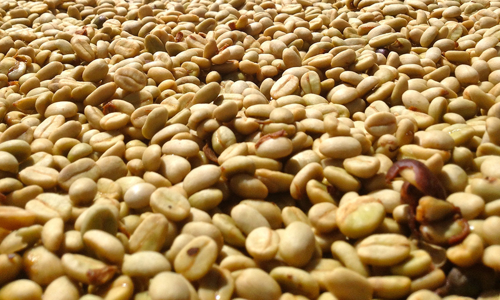 MEXICAN CARAMEL OAXACA COFFEE BEANS MEDIUM ROASTED 5 POUNDS
