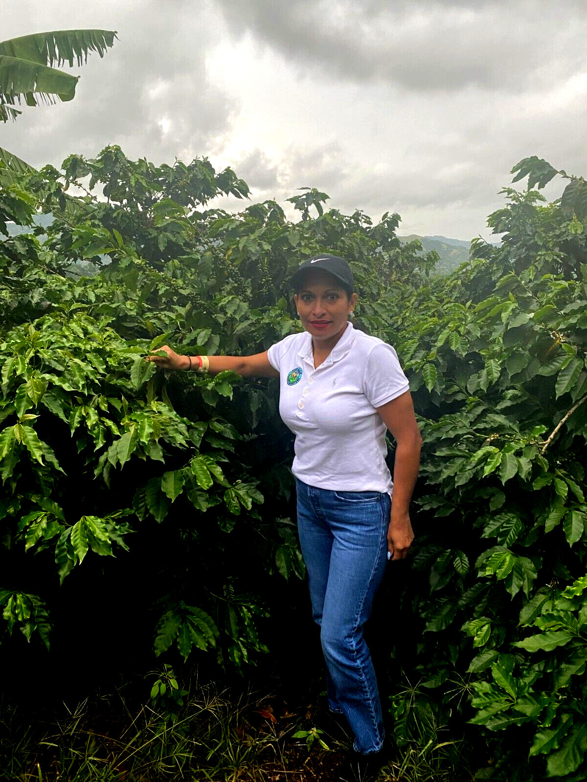 COSTA RICAN COFFEE BEANS DOTA TARRAZU MEDIUM ROASTED 5 BAGS 1 POUND EACH