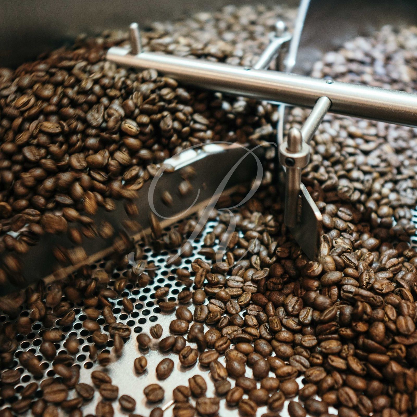 St. Helena Coffee Beans 1 lb • Roasted to Order • Rare Luxury Island Coffee!