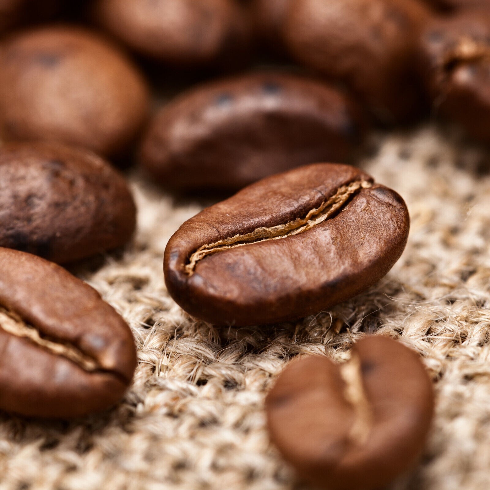 AA KAHINDU KENYA COFFEE BEANS MEDIUM ROASTED 5 POUNDS