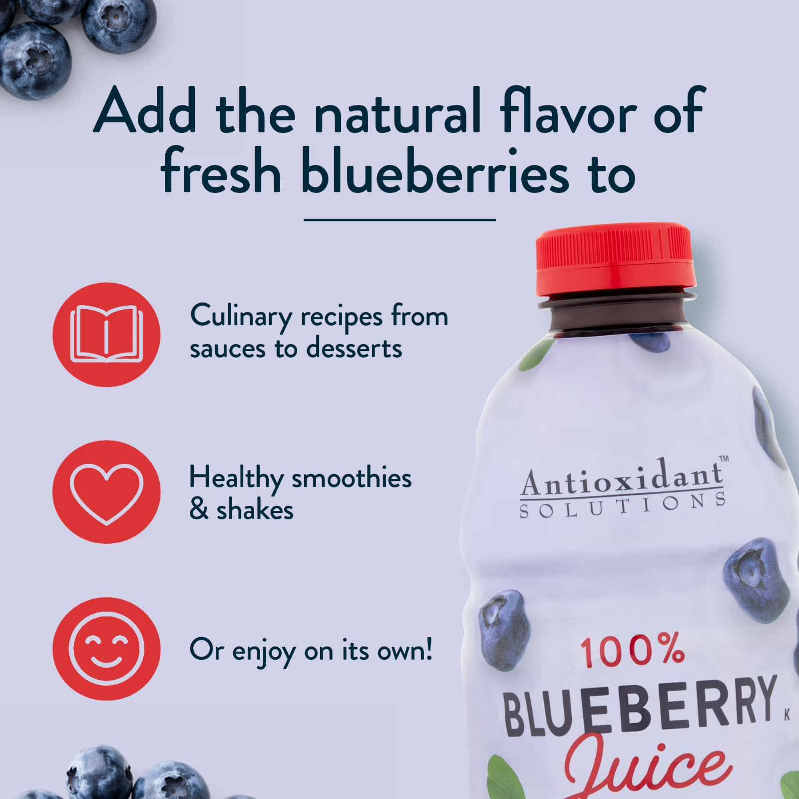 (2 pack) Antioxidant Solutions 100% Blueberry Juice Not from Concentrate…
