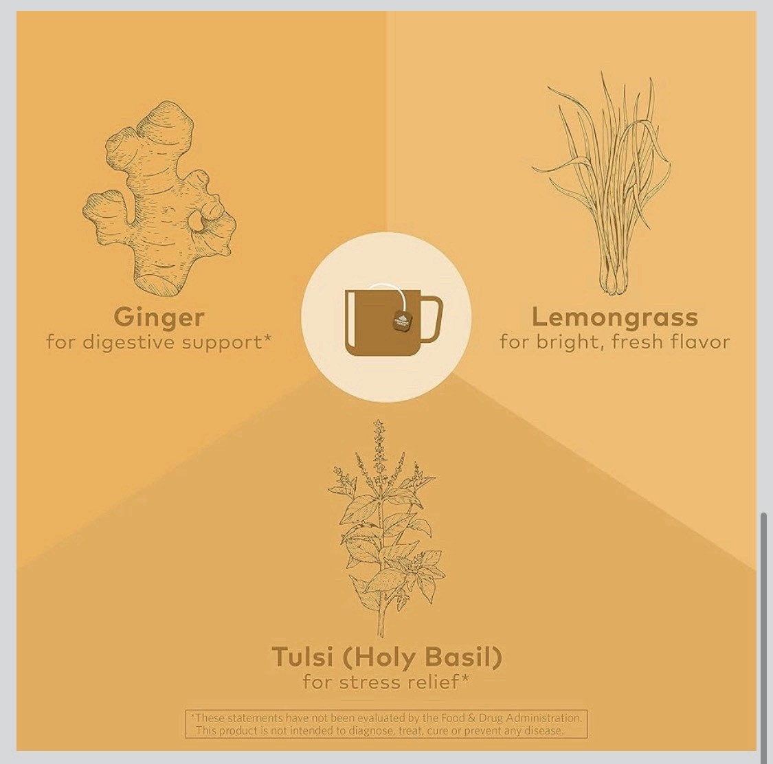 6x Organic India Tulsi Tea Lemon Ginger Holy Basil Balance Stress Relief 9/2027