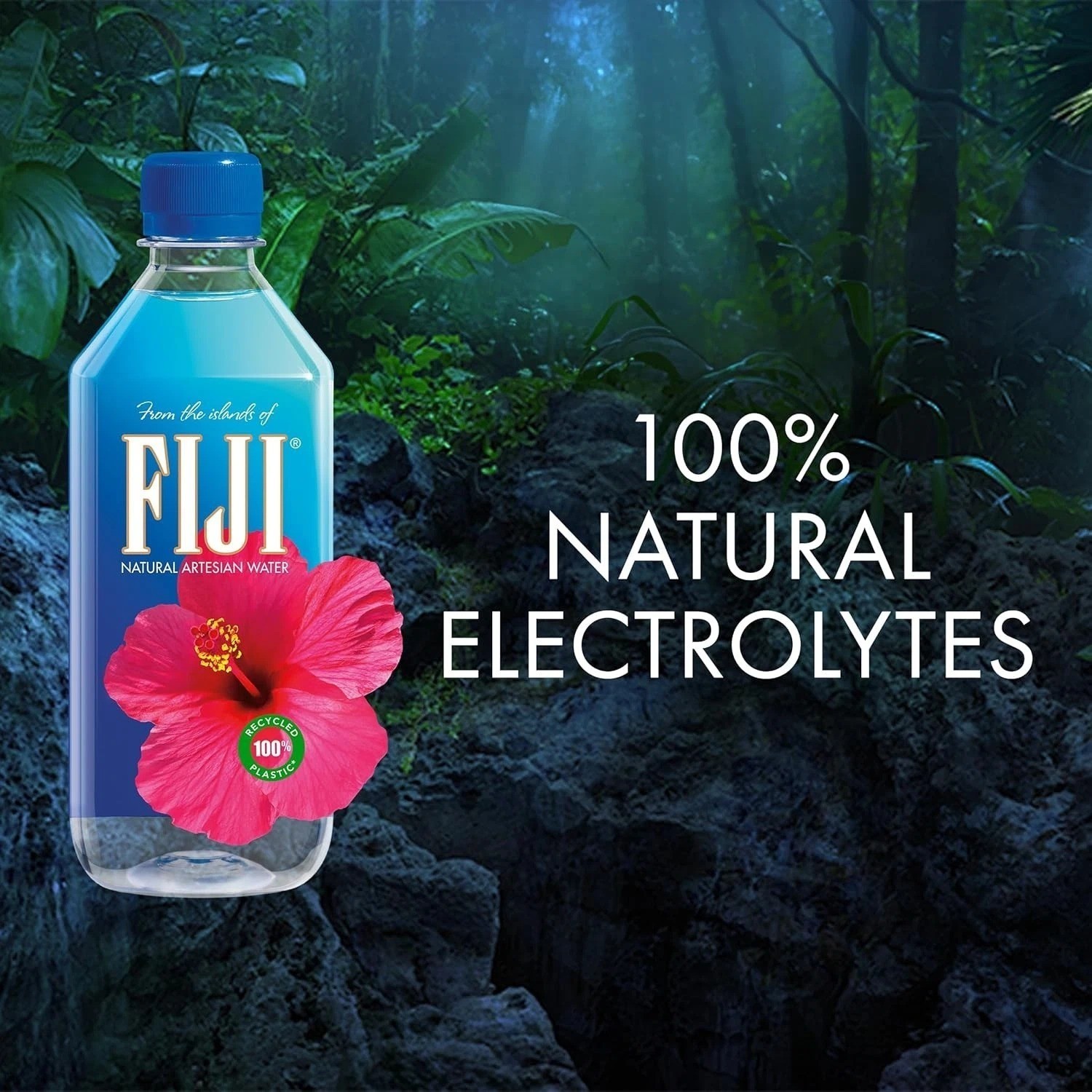 (12 Pack) FIJI Natural Artesian Water with Electrolytes and Minerals, 16.9 Fl Oz