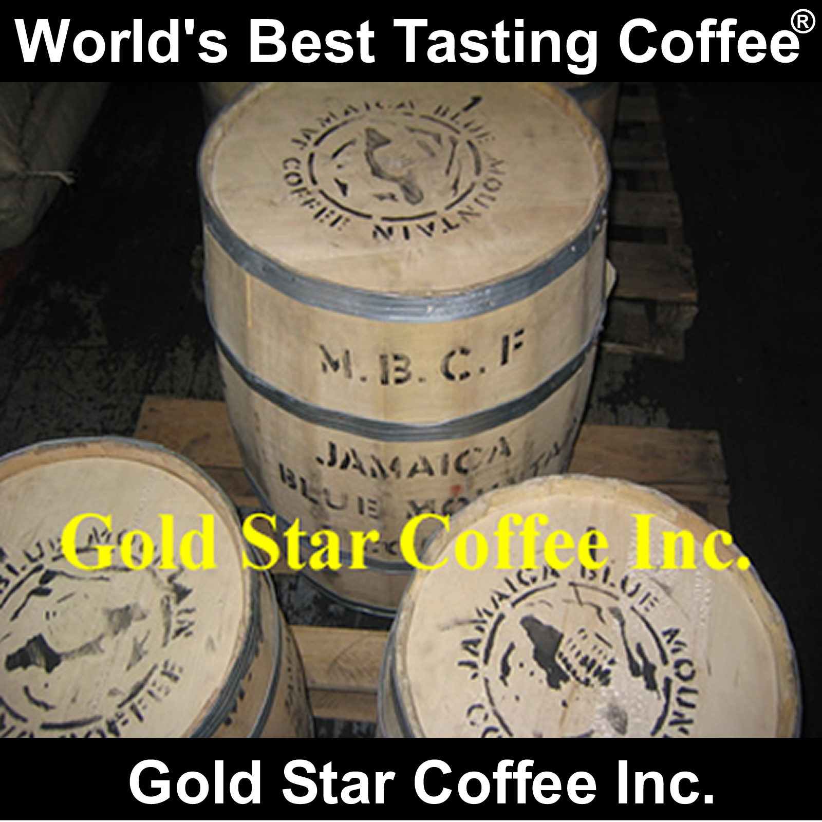 Custom Labeled Coffee with your Company Logo 10lb Jamaica Jamaican Blue Mountain