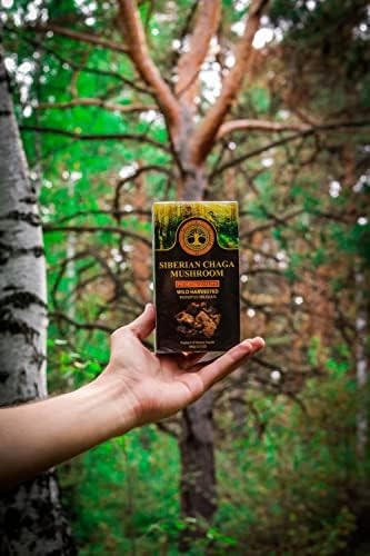 Siberian Chaga Mushroom Chunks, Premium Quality, Wild Harvested, 100 Grams (3.5
