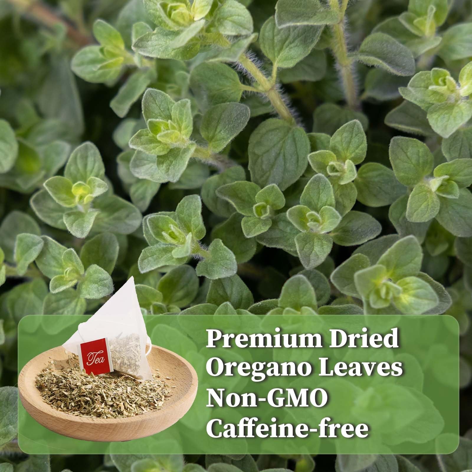 Fullchea – Oregano Tea Bags, 30 Teabags, 2G/Bag – Premium Oregano Leaves – Non-G