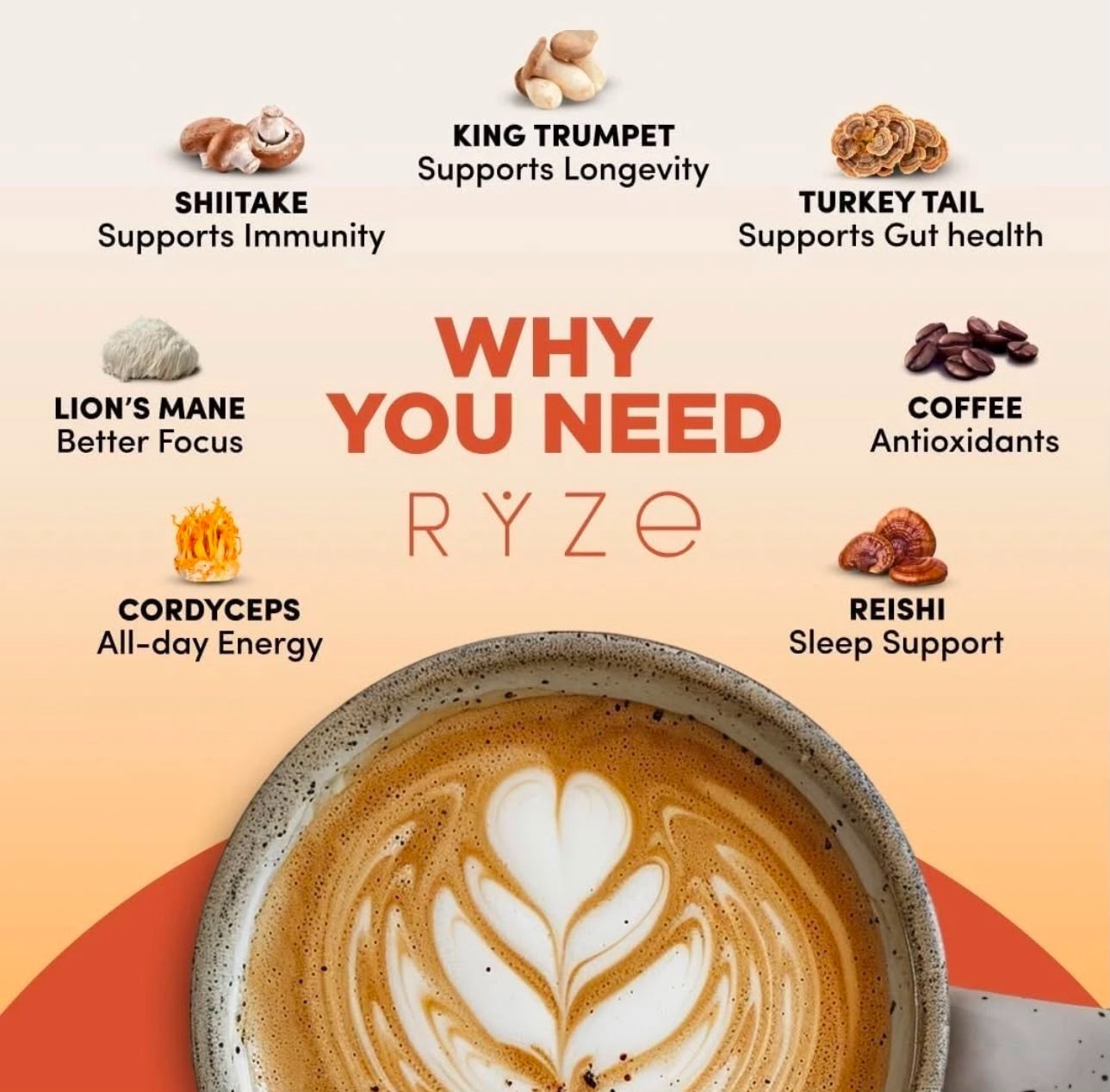 Share Pack of 2-Organic RYSE Mushroom Coffee, 30 Servings Each Pack -Free Shippi