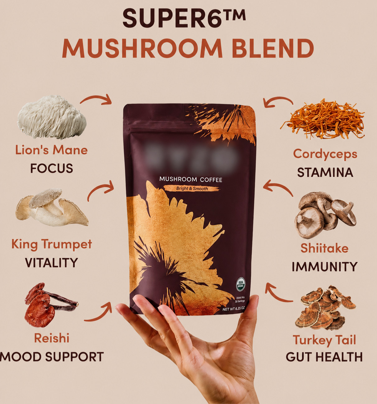 Ryse Mushroom Coffee 6.3 oz bright and smooth