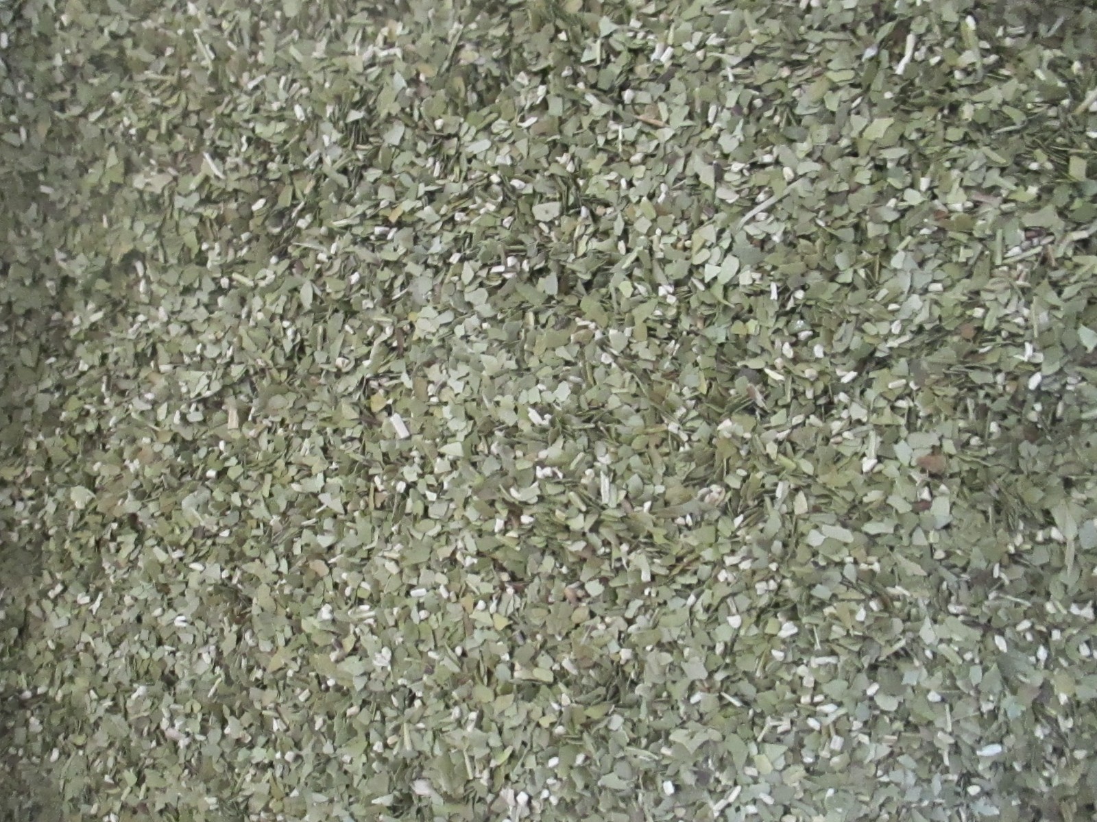 Yerba Mate Loose Leaf Green Herb Tea 32 & 48 oz (2 & 3 lb)