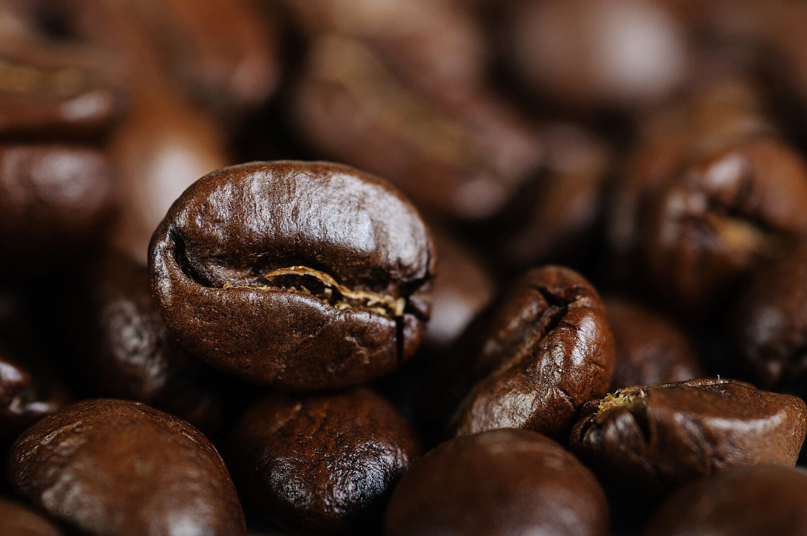 Sumatra SHB Coffee Beans Fresh Roasted Daily Espresso 2 Bags / 1 Pound Each