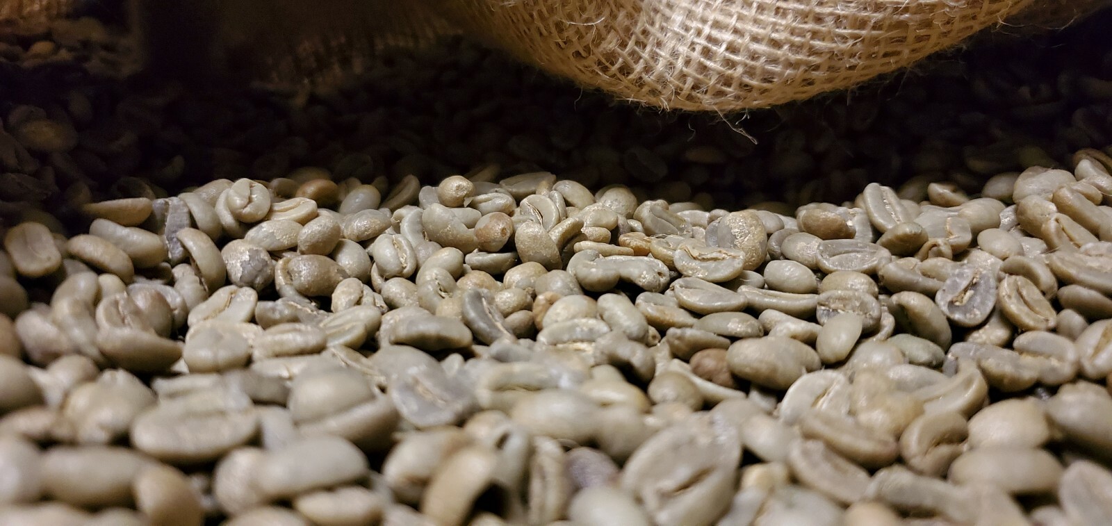 5 LBS PAPUA NEW GUINEA UNROASTED GREEN COFFEE BEANS – ARABICA