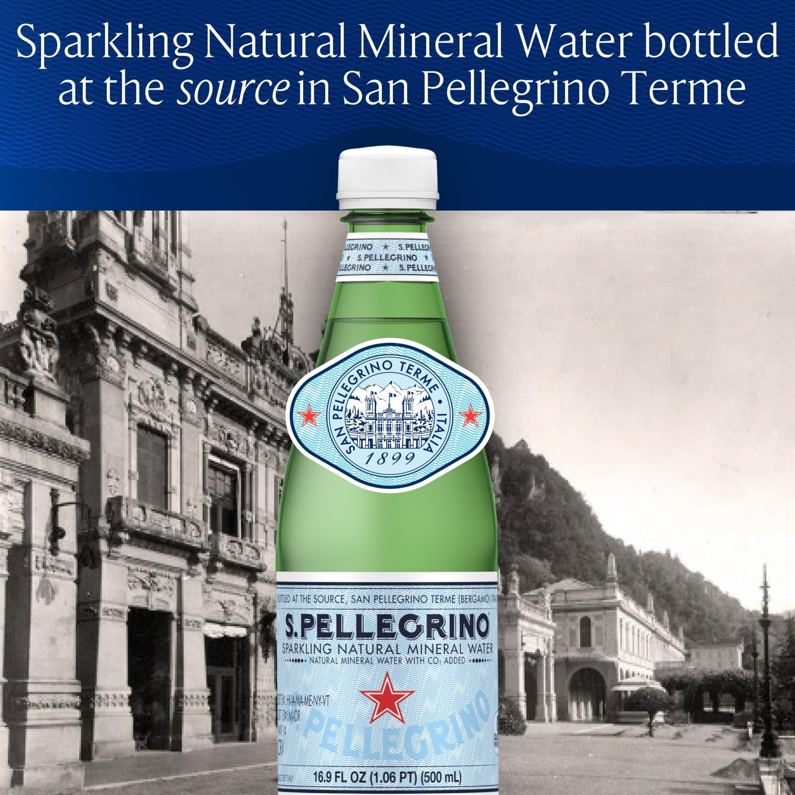 S.Pellegrino Sparkling Natural Mineral Water, Plastic Bottles, 16.9 Fl Oz (Pa…