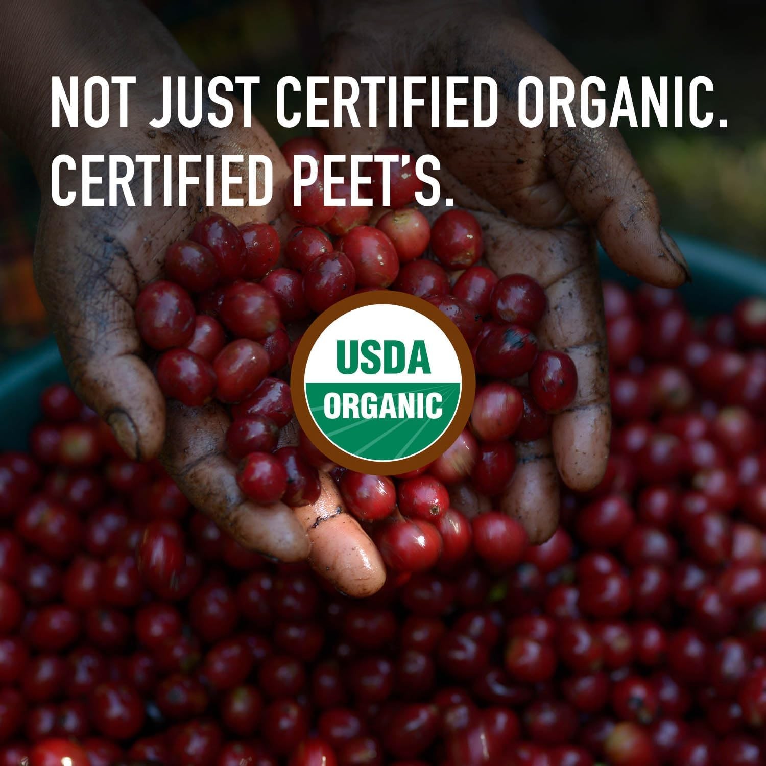 USDA Organic Dark Roast Ground Coffee, 100% Arabica Coffee – French Roast 18
