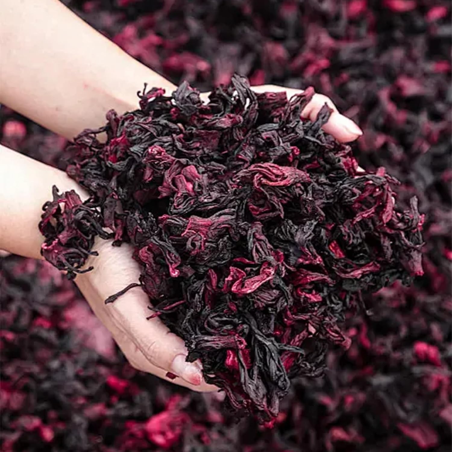 Organic Hibiscus Tea Bags 100 Natural Dried Flower Herbal Caffeine Free 2g 100ct