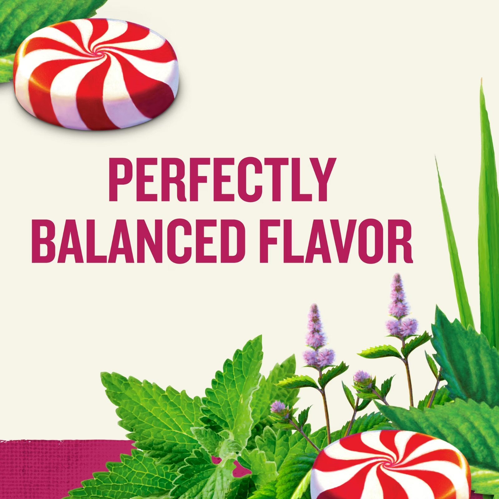Celestial Seasonings Peppermint Caffeine-Free Herbal Tea Bags (40 Count)