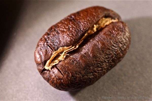 100 % Jamaican Blue Mountain Coffee Beans Medium Roasted 10 Pounds in 1 LBS Bags